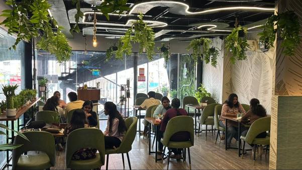 aesthetic d cor caf trichy