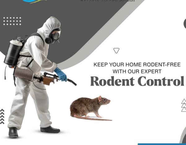 effective mosquito control tre