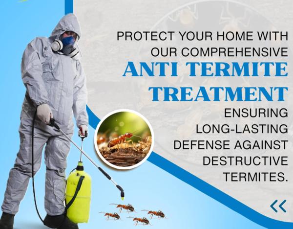 termite damage and protection
