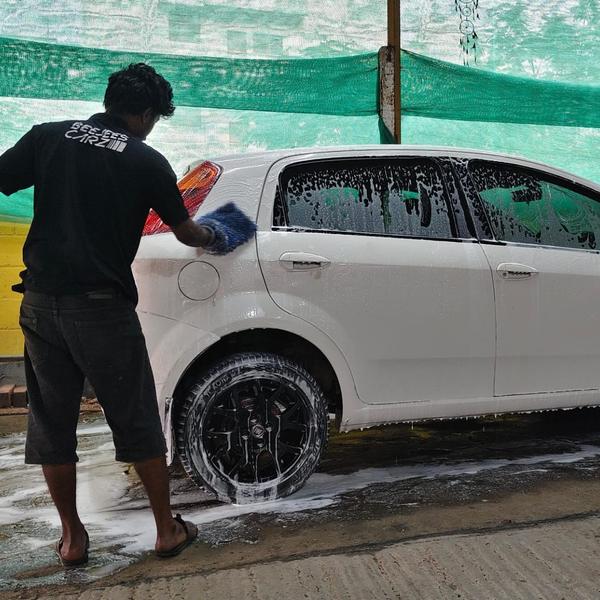 professional car wash service