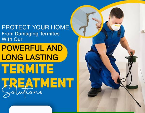 Hidden Termites? Get a Profess