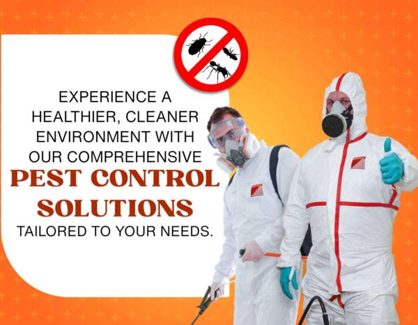 Flat 20% off  first 100 custom