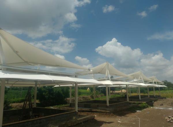 Tensile membrane structure solutions focus on cove