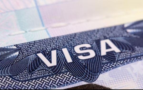 business visa application serv