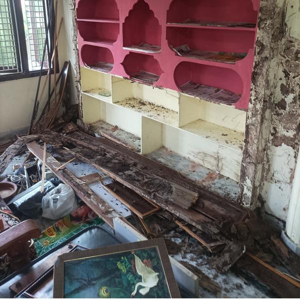 termite service near by