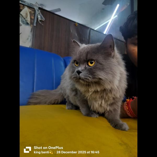 FurryTails LLP is one of the b