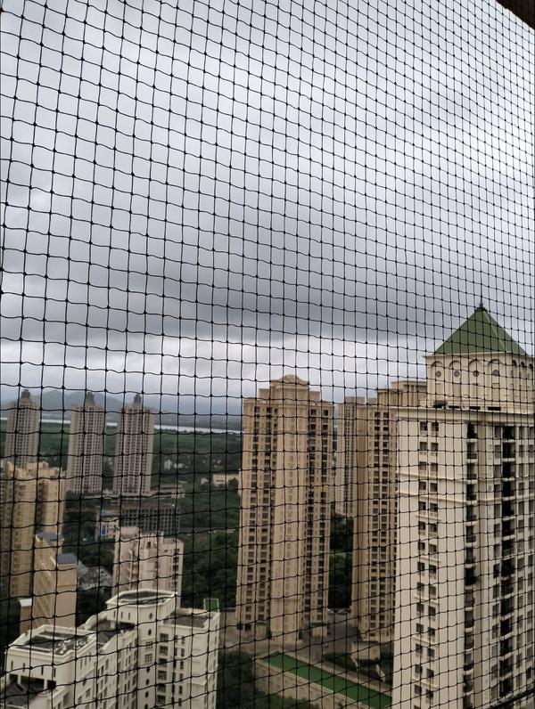 balcony bird netting solutions