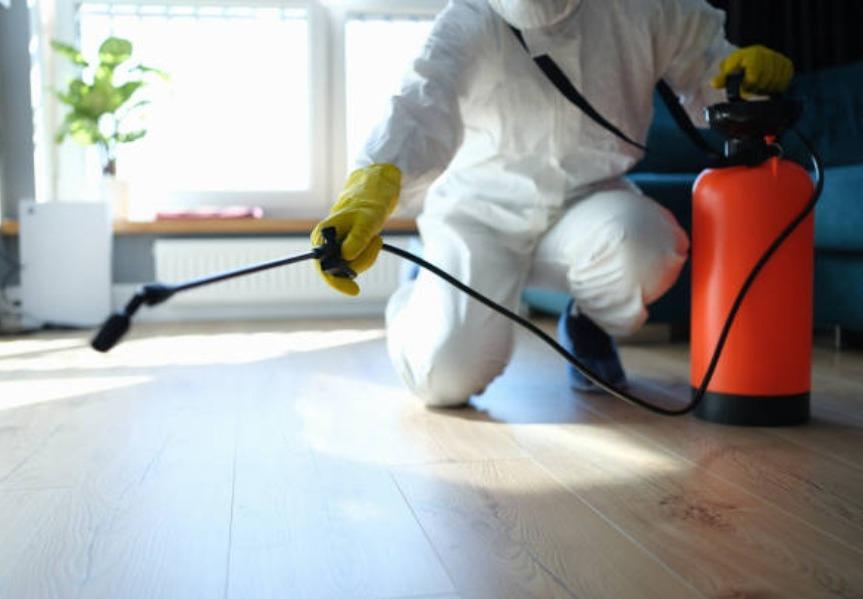 Pest control services in New D