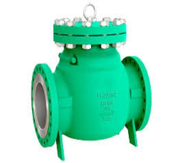 Our high-quality Swing Check Valves are engineered