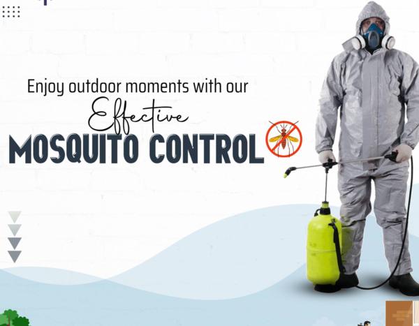 Protect your family from dengu