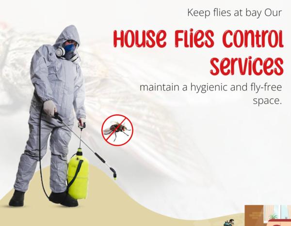 House Fly Control Services Nea