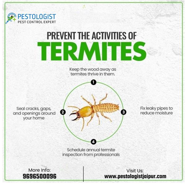 Pest Control In Jaipur Pe