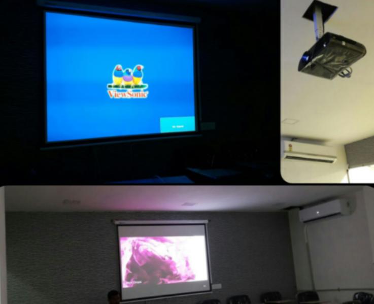 Luxury Living Room Cinema