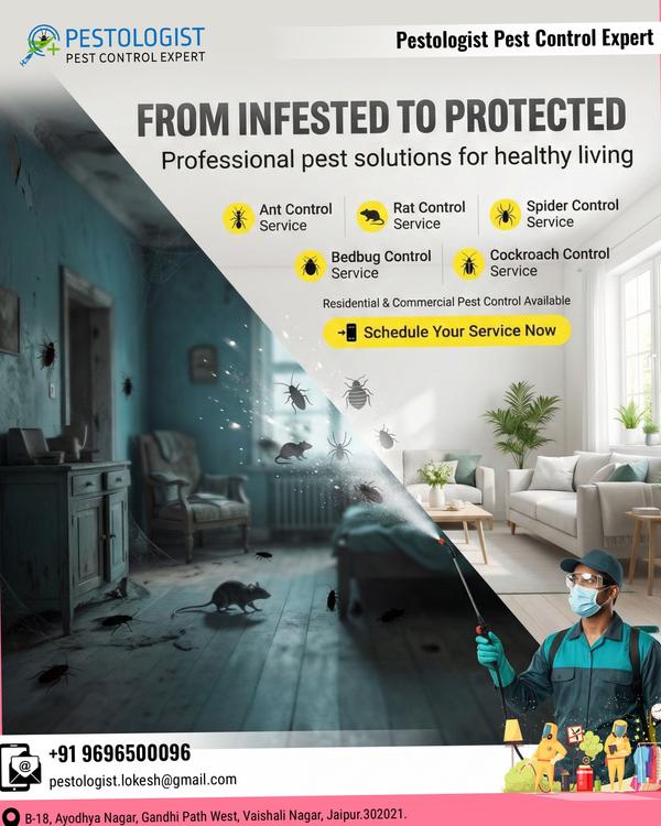 Pest Control In Jaipur Pe