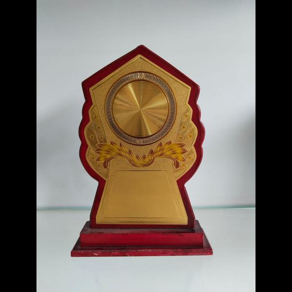 City Imaging supplies high-quality school competit