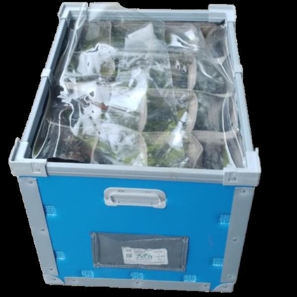 PP Dunnage Boxes in Gurgaon are the definitive cho