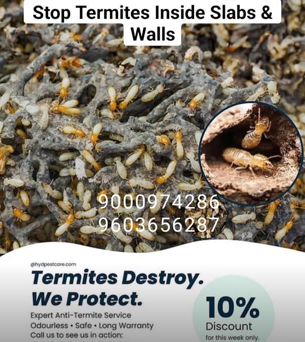Termites control neyar by Term