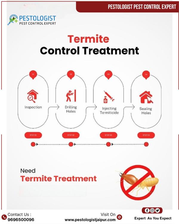 Pest Control In Jaipur Pe