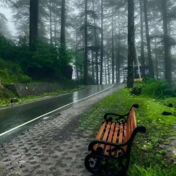 Here’s a North India tour pack