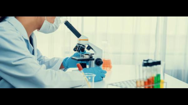 Step into the world of di