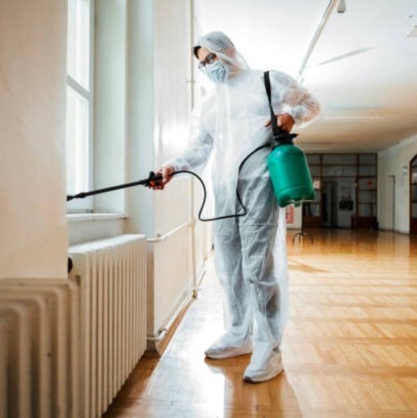 Finding the best pest control 