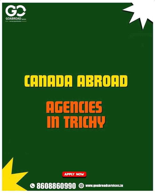 study abroad agencies in trich