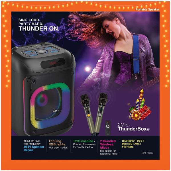 Best karaoke speaker with 2 wireless mics and amaz