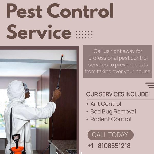 pest control services in andhe