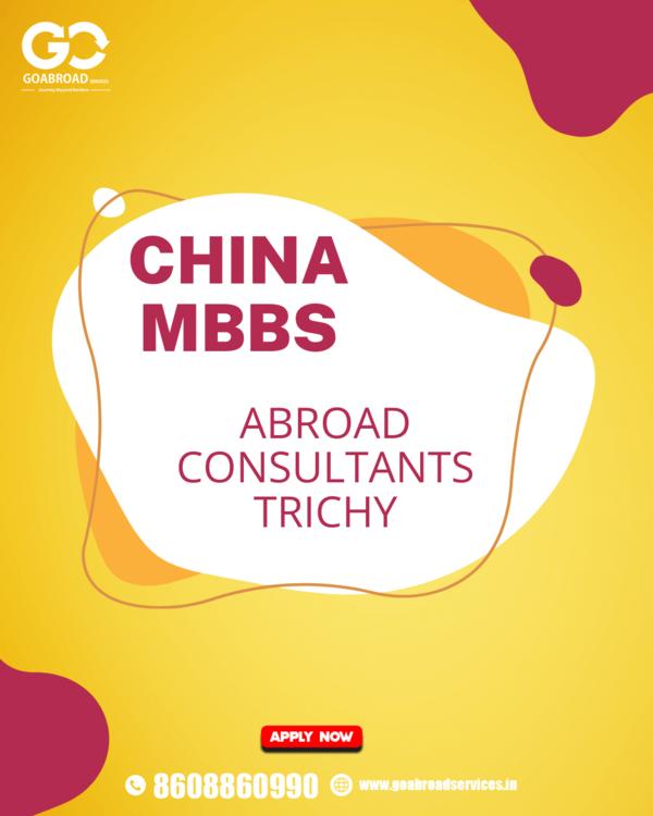 abroad mbbs consultants in tri