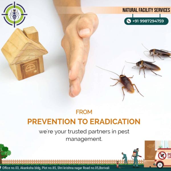 Chemicals used are government 