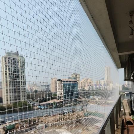 SOHAM BIRD PRO SERVICES Bird N