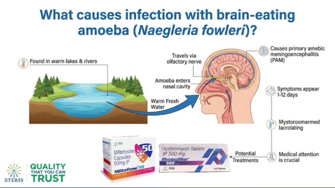 Introduction Imagine a microorganism so tiny you c