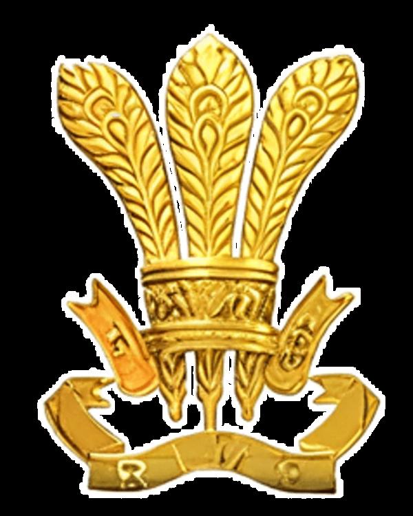 RIMC (Rashtriya Indian Mi