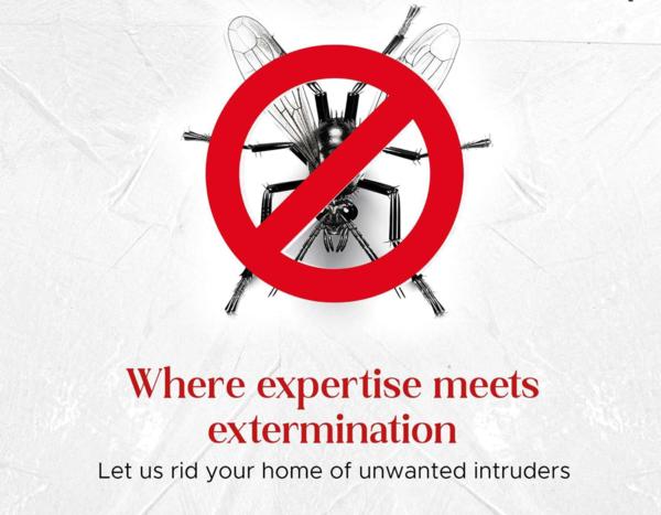 Click to Schedule Same-Day Ser