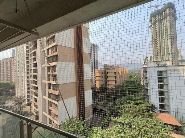 SOHAM BIRD PRO SERVICES

Why B