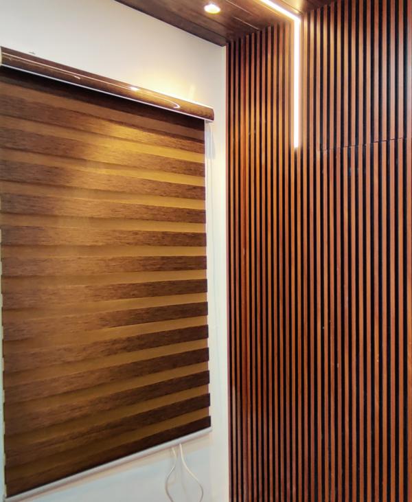 Zebra blinds (also called