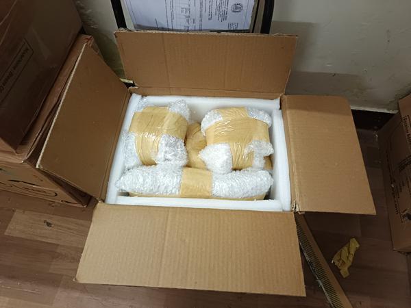 customs clearance support tric