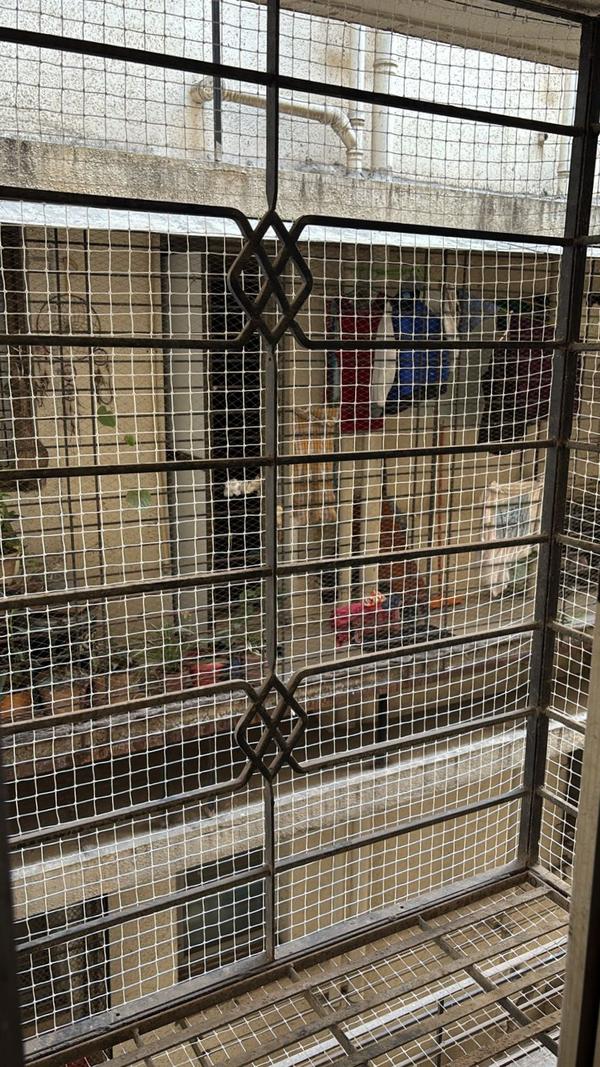 1️⃣ Problem–Solution Style “Bi