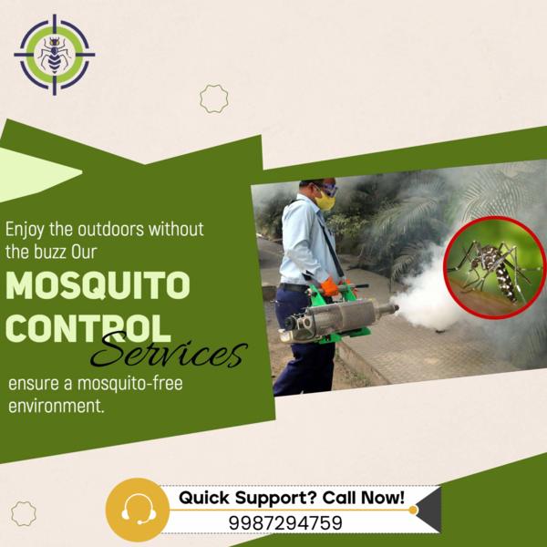 Protect your home & family fro