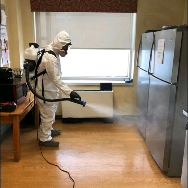 Pestcontrol near me at Karvena