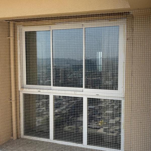 SOHAM BIRD PRO SERVICES 1️⃣ Pr