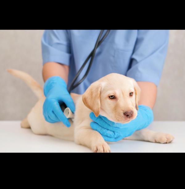 Regular health checkups help d