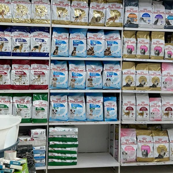 Snoopy Petz is a trusted 