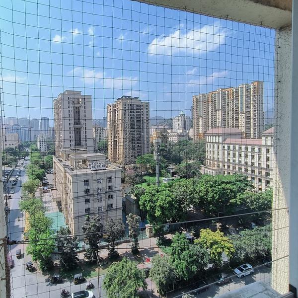 SOHAM BIRD PRO SERVICES Proble