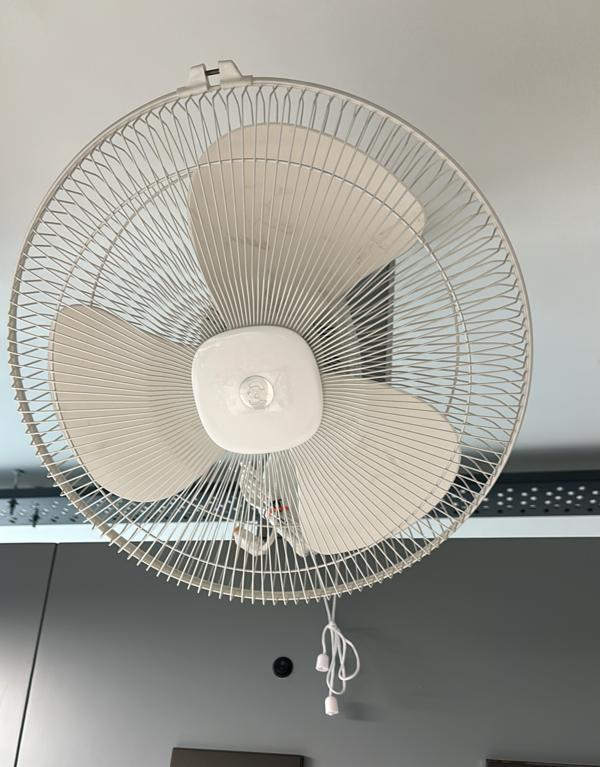 If you are searching for a tru