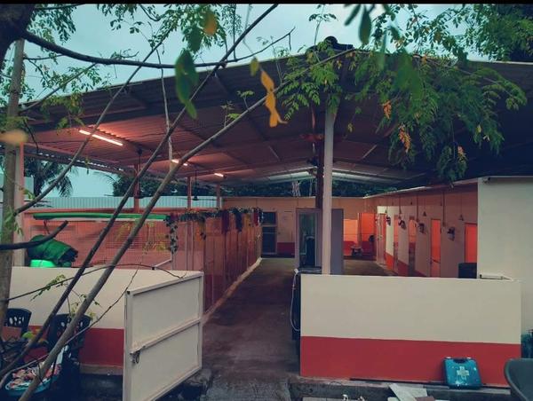 For Thane city dog pet parents