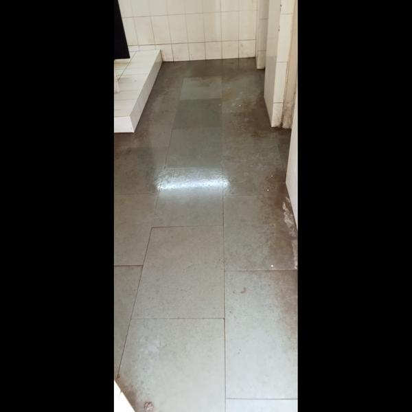professional grade cleaning pr