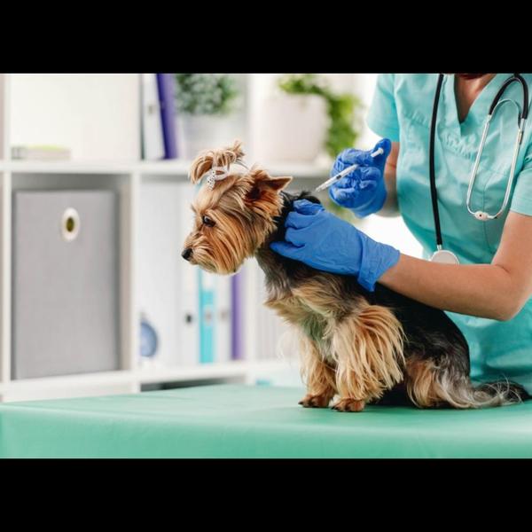 Vaccination is essential to pr