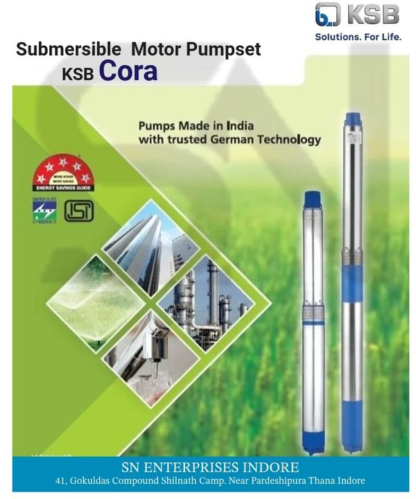 Are you looking for a wat