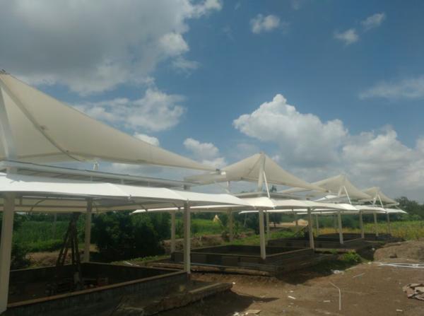 A tensile membrane structure brings together form 